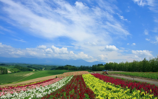 465847 (a): :1920x1200